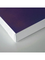 Woman Posing Aside Canvas Print