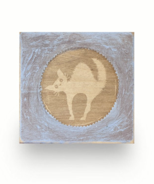 Nervous cat on Plywood 